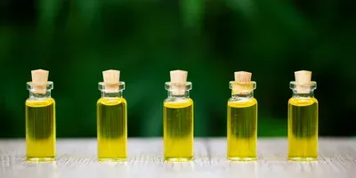 the long-term effects of CBD use