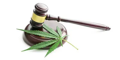 Medical Cannabis and CBD Regulations