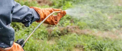 spraying herbicide