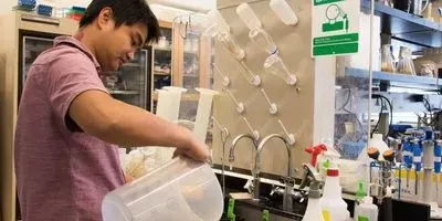 Yajin Ye adds water to the plants in Thelen's lab (article image)