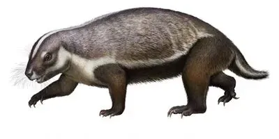 Adalatherium