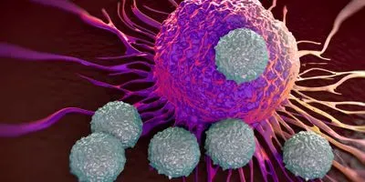T cells attacking cancer