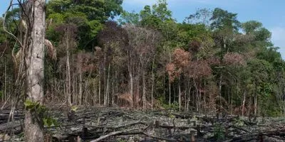environmental impact of agriculture