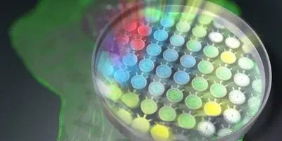 Fluorescence "lifetime" microscopy technique (article image)