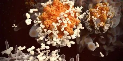 Biotech Team Develops ELISA Protocol for COVID-19 IgG Antibody Detection