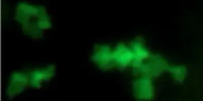 Nanomaterial in sheet form (article image)