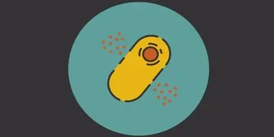 Cell Disruption Infographic
