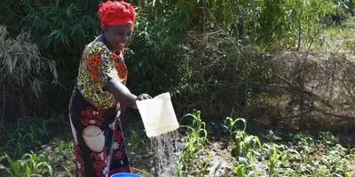 Watering a Zambian garden