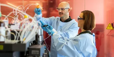 Newly Developed Global Plasma Proteome Quantification Workflow