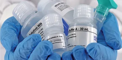 Explore the World of RNA