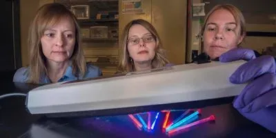 Women rank Sandia Labs among best places to work