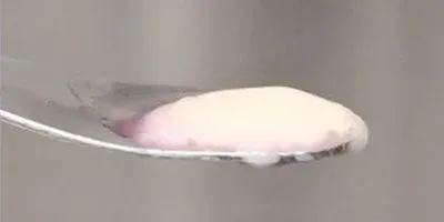 Cultivated Meat