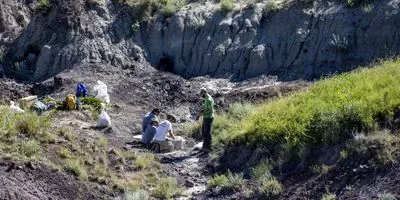 Paleontologists carrying out fieldwork