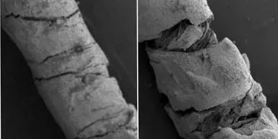 Threads coated with electrically conducting carbon-based ink (article image)