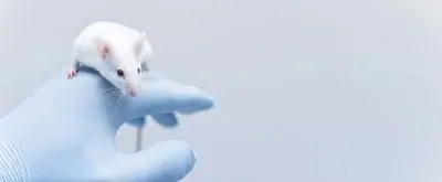 Human-Based Platforms in Biomedical Research (hero image)