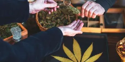 cannabis dispensary