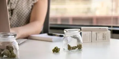 cannabis use and entrepreneurship
