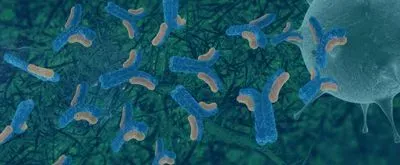 antibody performance
