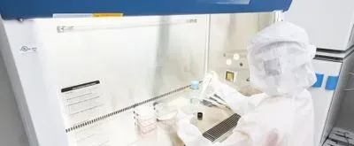 cell culture work