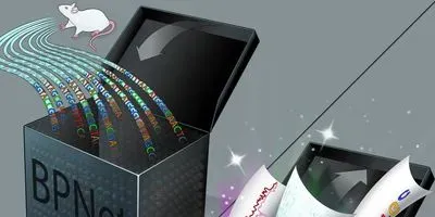 BPNet (article image)