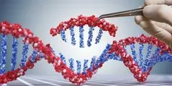 studying large genomic fragments