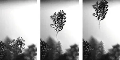 jumping frost