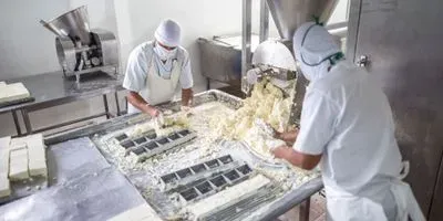 cheese production