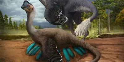 oviraptorid theropod dinosaur broods its nest of blue-green eggs (article image)