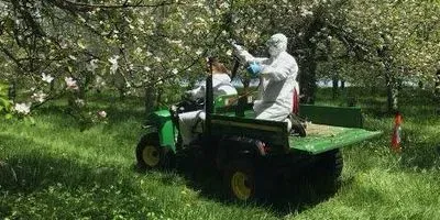 Researchers applying probiotic sprays to apple trees