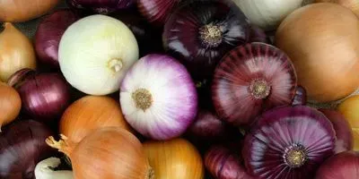 a variety of onions