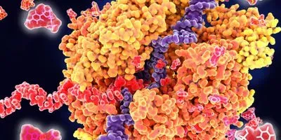 RNA polymerase