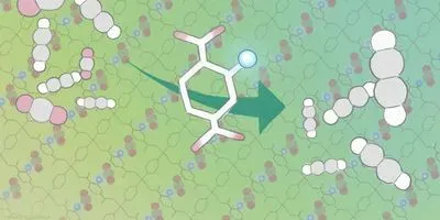 A porous coordination polymer incorporated with amino acid directionally aligned in its pores preferentially adsorbs carbon dioxide to purify acetylene from a gaseous mixture