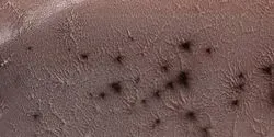 A NASA image of the spiders on Mars