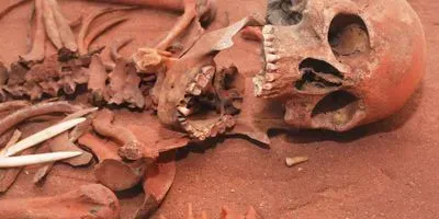 how frequently do transgender individuals appear in forensic anthropological casework?