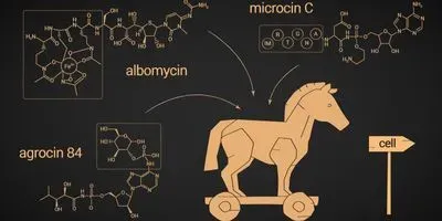 'Trojan horse' strategy for antibiotic compounds