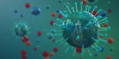 illustration of coronavirus