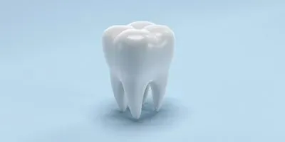 illustration of tooth
