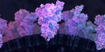 illustration of protein spikes on SARS-CoV-2
