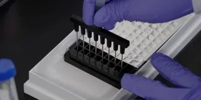 Multiplex Array Technology for Rapid COVID-19 Clade Variant Testing