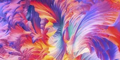 captured a panoramic image of L-glutamine and beta-alanine crystals