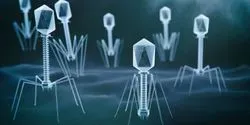 phages graphic