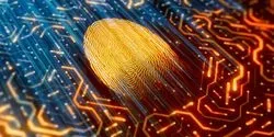 digital fingerprinting for cybersecurity