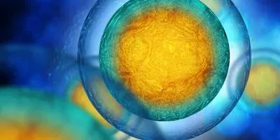 single-cell research