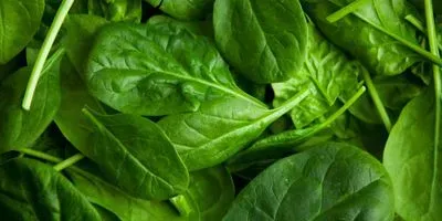 spinach