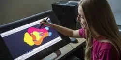 University of Illinois researchers have published updated, high-resolution pig brain atlases for young and adolescent animals