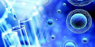 High Recovery of Top-Quality Purified RNA