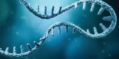 Characterizing RNA Molecules with FTIR