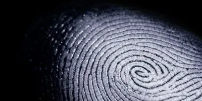 fingerprint forensics