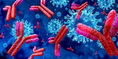COVID-19 Antibodies Illustration