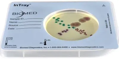 Fighting the Silent Pandemic of Antibiotic-Resistant Infections